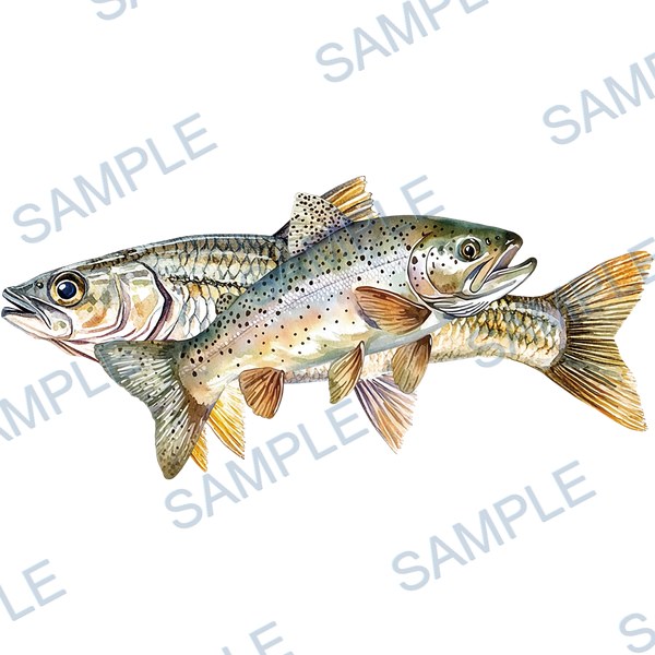 釣り, ルアー, ブラックバス, lure, fishing Decal design B-4546