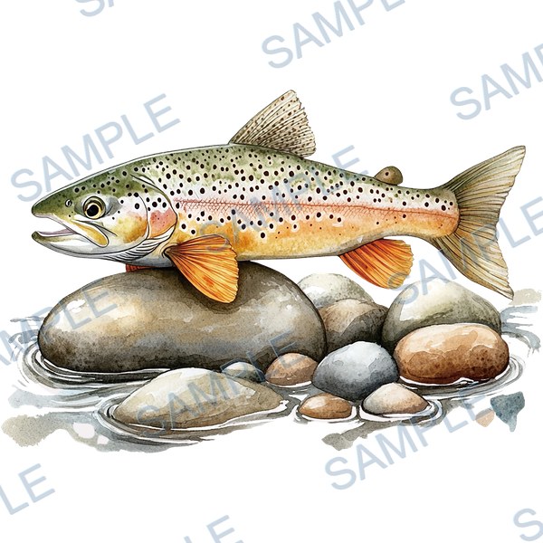 釣り, ルアー, ブラックバス, lure, fishing Decal design B-4548