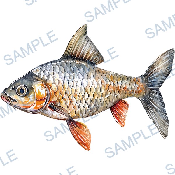 釣り, ルアー, ブラックバス, lure, fishing Decal design B-4549