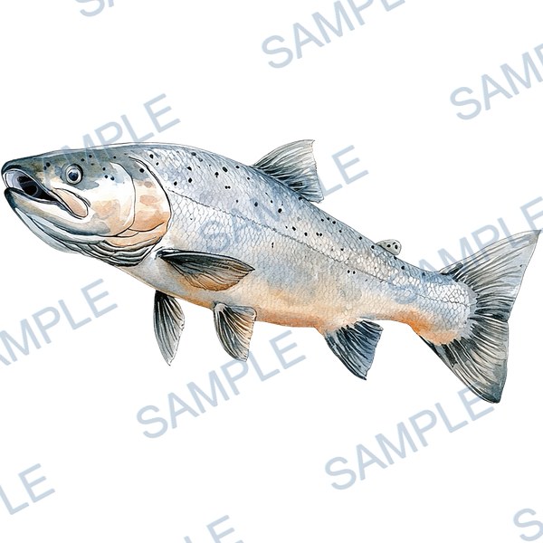 釣り, ルアー, ブラックバス, lure, fishing Decal design B-4551