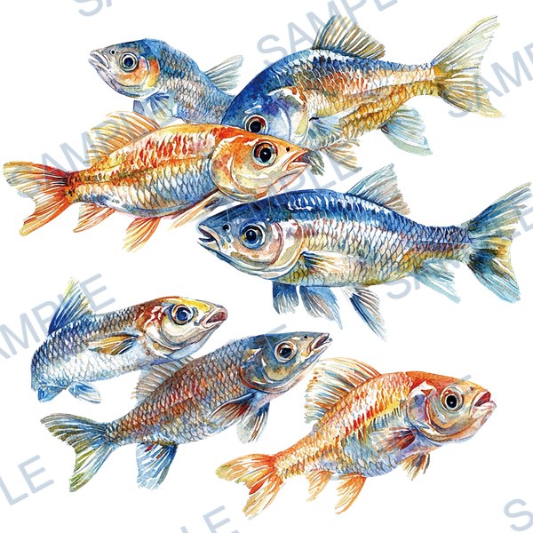 釣り, ルアー, ブラックバス, lure, fishing Decal design B-4553