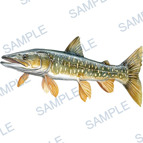 釣り, ルアー, ブラックバス, lure, fishing Decal design B-4556