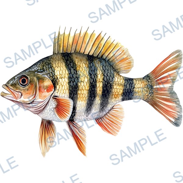 釣り, ルアー, ブラックバス, lure, fishing Decal design B-4557
