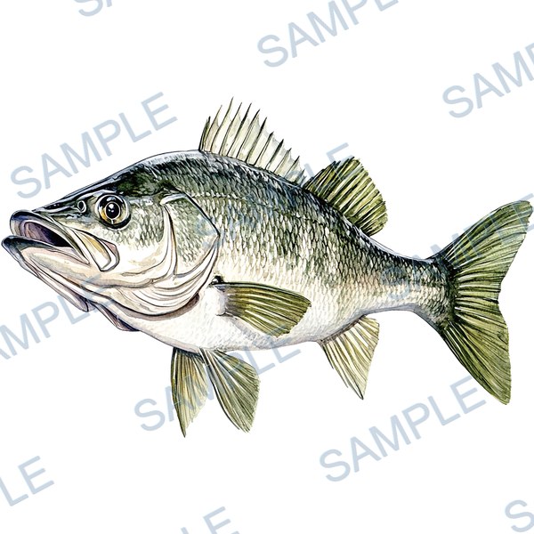 釣り, ルアー, ブラックバス, lure, fishing Decal design B-4559