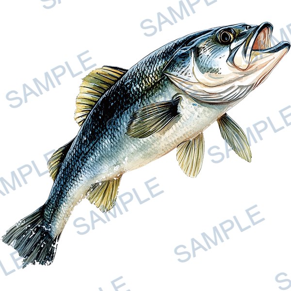 釣り, ルアー, ブラックバス, lure, fishing Decal design B-4561