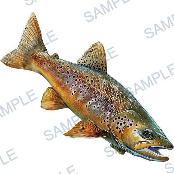 釣り, ルアー, ブラックバス, lure, fishing Decal design B-4562