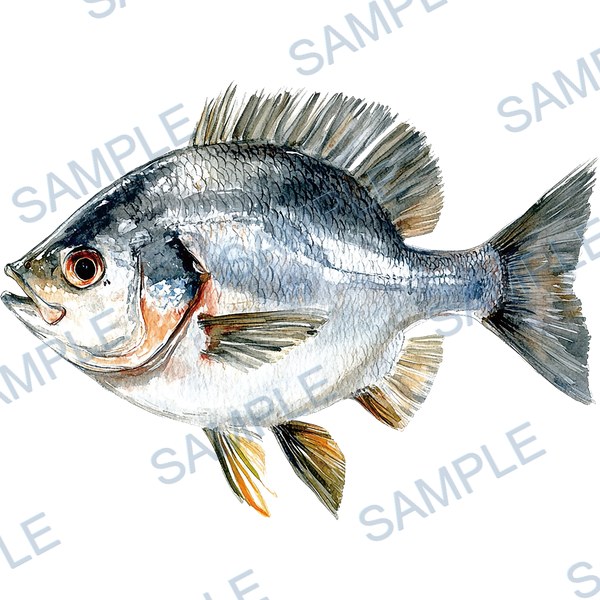 釣り, ルアー, ブラックバス, lure, fishing Decal design B-4563