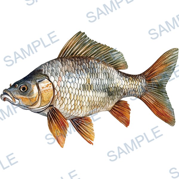 釣り, ルアー, ブラックバス, lure, fishing Decal design B-4564