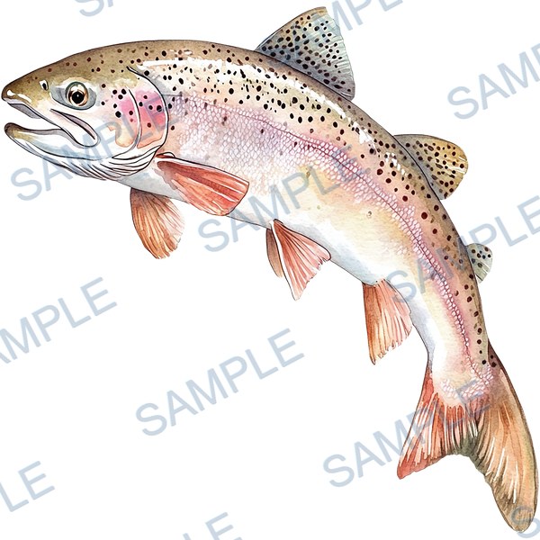 釣り, ルアー, ブラックバス, lure, fishing Decal design B-4566