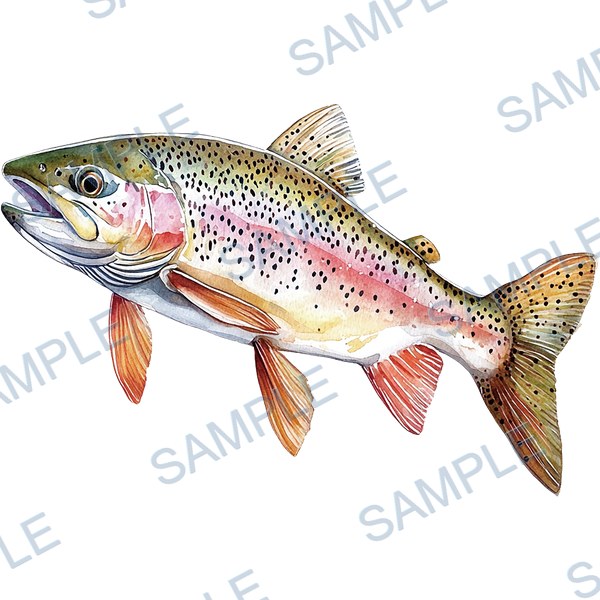 釣り, ルアー, ブラックバス, lure, fishing Decal design B-4567