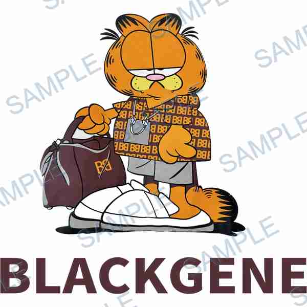 garfield, cat, duffel bag, sneakers, text DTF design D-7919
