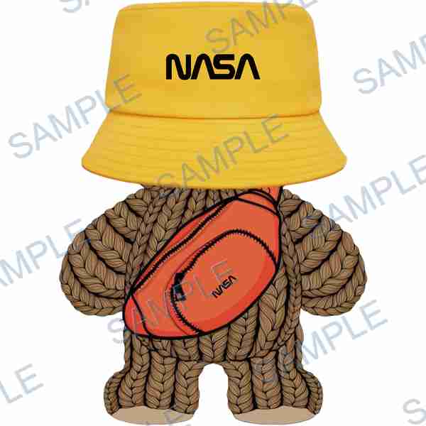 nasa, bucket hat, fanny pack, bear, knitted texture DTF design D-8291